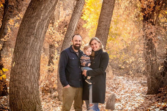 family 015